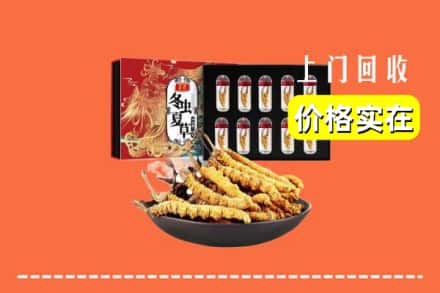 临朐县回收冬虫夏草